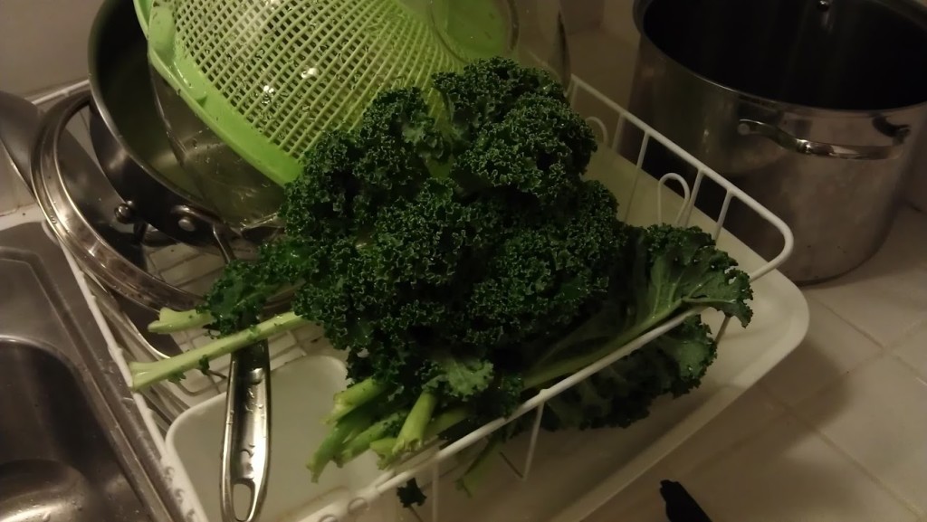 kaleInDishRack