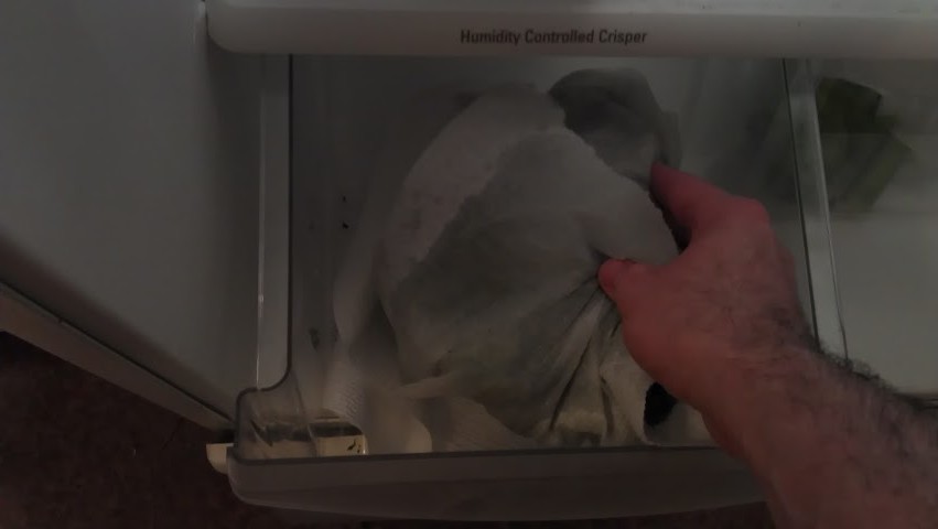 puttingWrappedKaleInCrisper