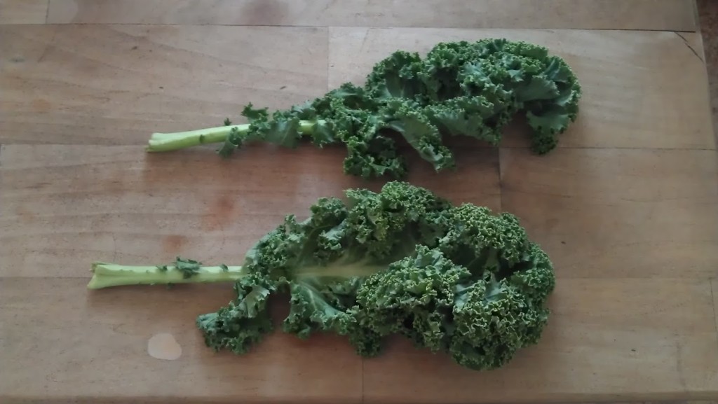 staleKale